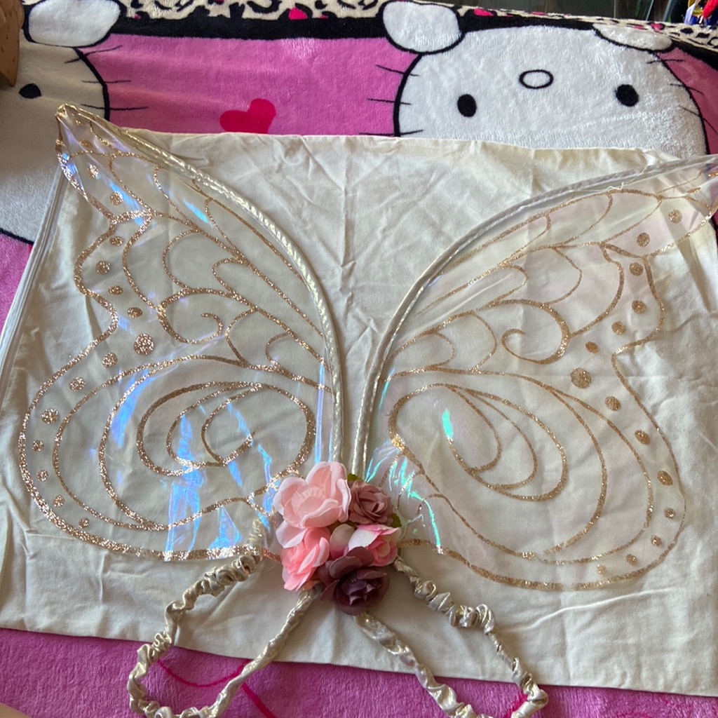 Fairy Wings